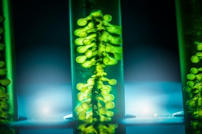 Microphyt works with a patented process to create a range of microalgae varieties in a low-carbon, controlled environment [Getty Images]