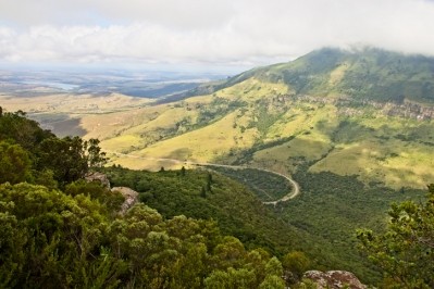 South Africa is known for its 'large biodiversity of medicinal plants' but less is known about potential use - Getty Images