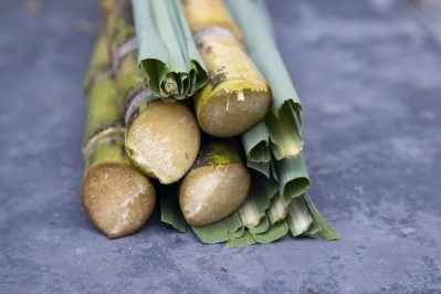 Lignin extracted from sugarcane byproduct can be integrated into BB cream formulations for multifunctional benefits [Getty Images]